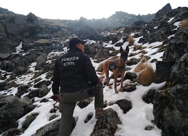 Agentes caninos de Veracruz realizan entrenamientos en la montaña