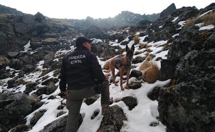 Agentes caninos de Veracruz realizan entrenamientos en la montaña