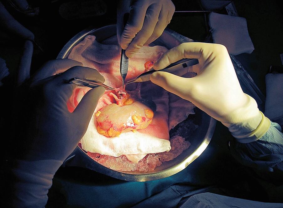 Foto: EL UNIVERSAL, archivo 