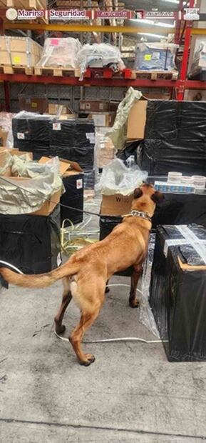 Los cigarrillos apócrifos asegurados equivalen a 15.6 toneladas. Foto: Especial