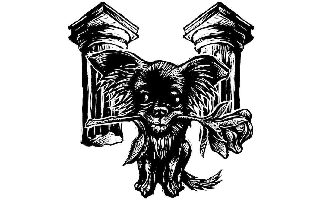 El verdugo de Satélite