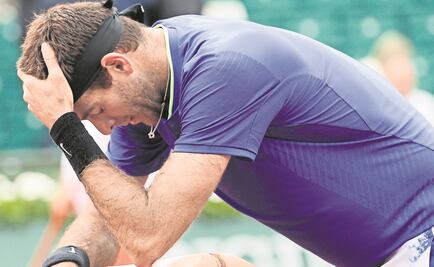 Murray frena a Del Potro