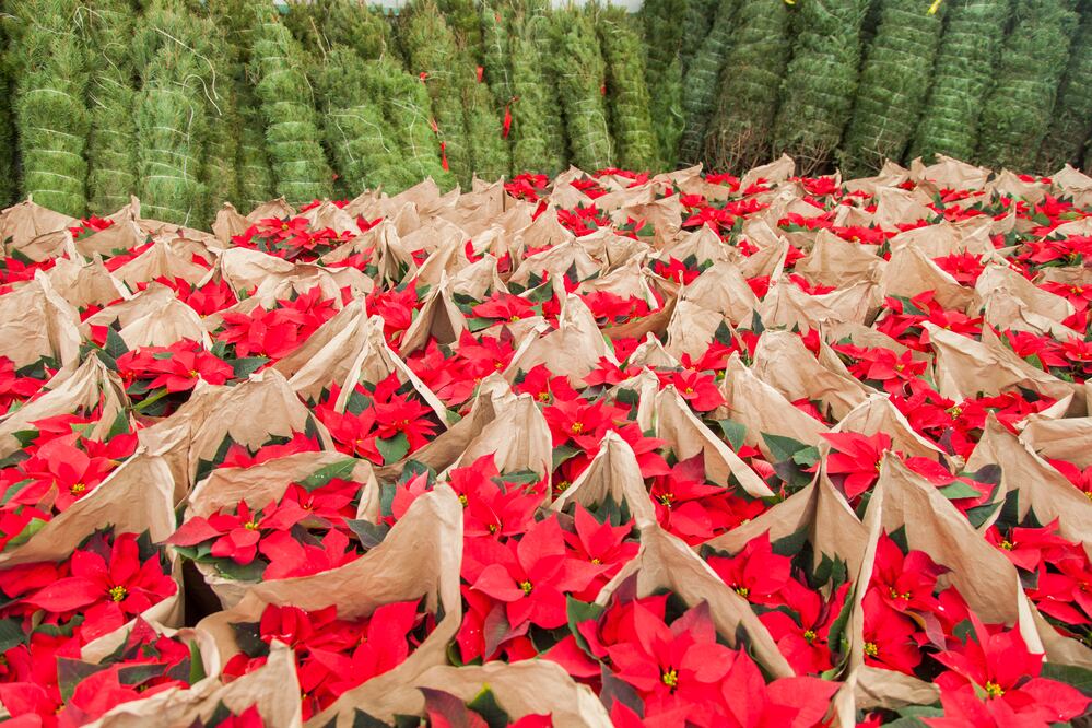 Archivo / EL UNIVERSAL