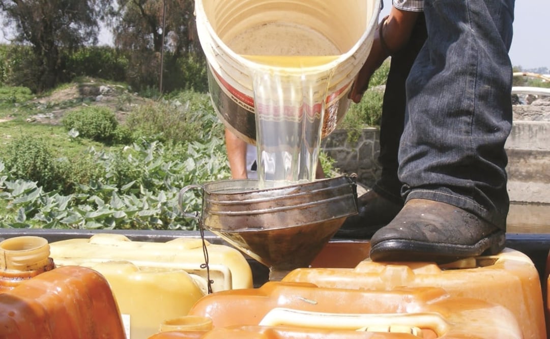 Foto: Archivo/EL Universal