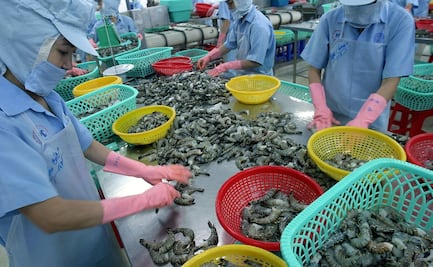 China suspende importación de gambas de Ecuador al detectar Covid-19 en paquetes