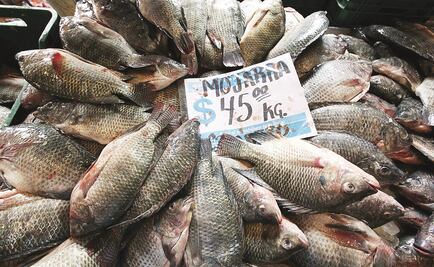 Garantizan abasto de pescados y mariscos en Cuaresma