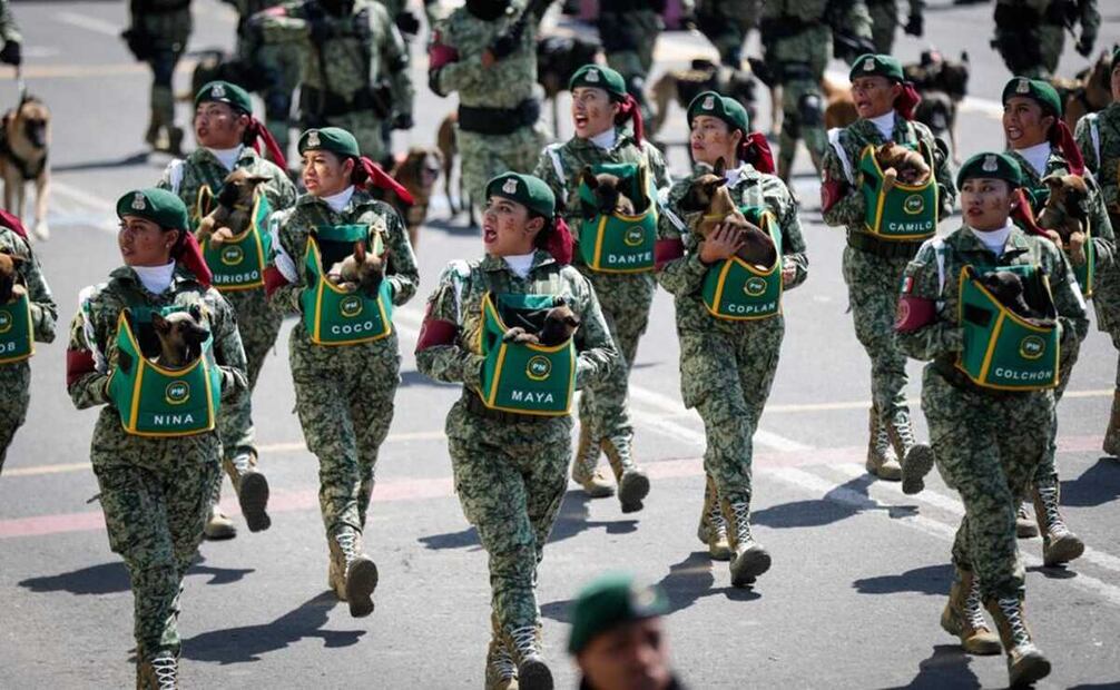 Foto: Diego Simón Sánchez / EL UNIVERSAL