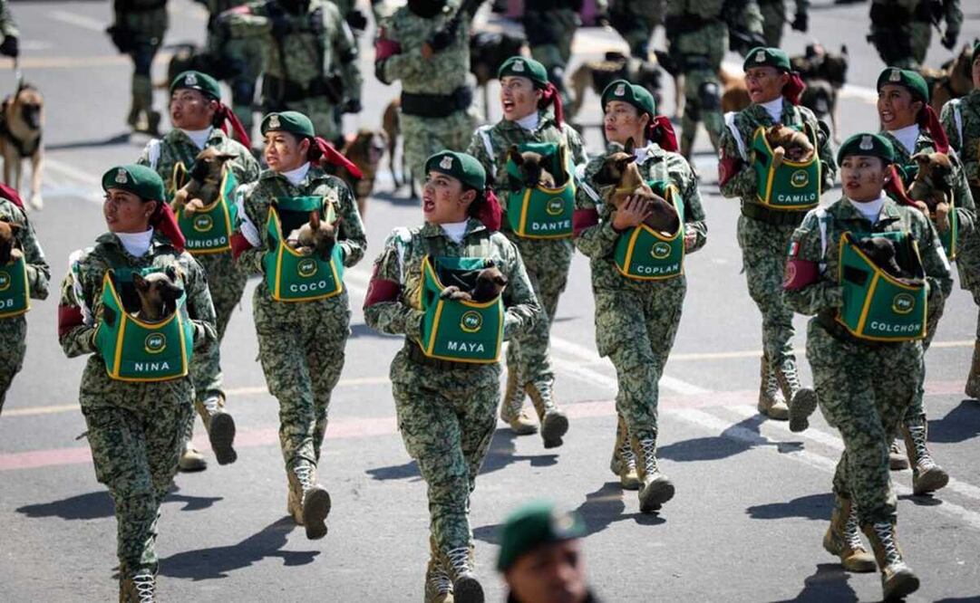 Imagen ilustrativa. Foto: archivo/EL UNIVERSAL