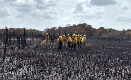 Wildfire in the Biosphere Reserve of Sian Ka’an, Quintana Roo