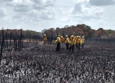 Wildfire in the Biosphere Reserve of Sian Ka’an, Quintana Roo