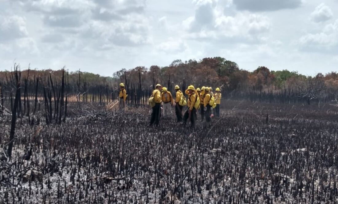 Combatants from the three levels of Government in the reserve of Sian Ka’an – Photo: Taken from CONAFOR Twitter account