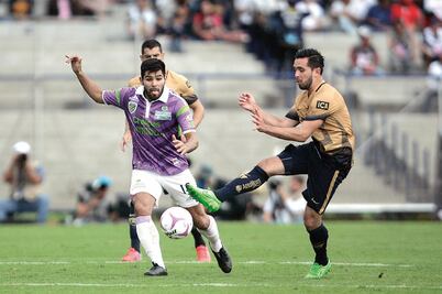 Fuerzas en equilibrio...  ¿Aportan?