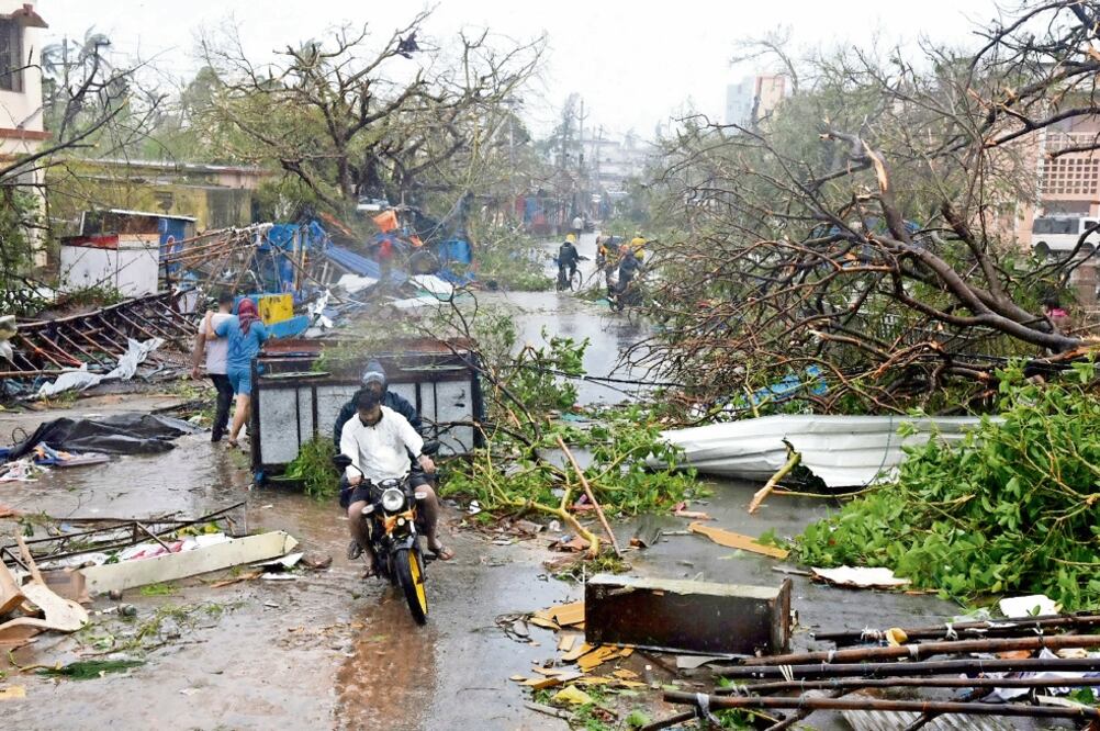 Cientos de árboles derruidos dejó a su paso el ciclón Fani , que también afectó el suministro de energía en la ciudad de Puri, India.