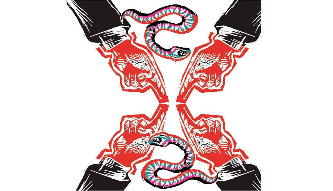 Los mapaches andan sueltos