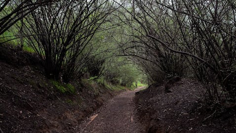 Cuándo es la noche de historias terror en  Chapultepec