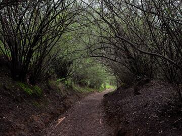 Cuándo es la noche de historias terror en  Chapultepec