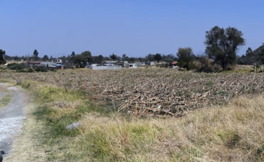 Vecinos detienen y matan a golpes a presunto acosador en Xochimilco