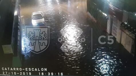 Tormenta en CDMX deja encharcamientos y caída de árboles 