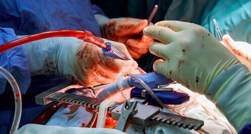 El cuerpo del mañana