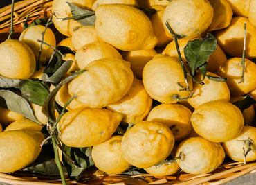 3 razones para tomar infusión de bergamota