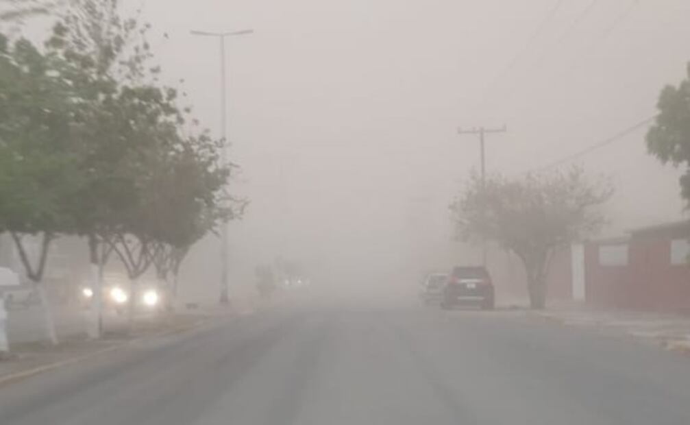 Tolvanera deja árboles caídos y cortes de energía en Coahuila