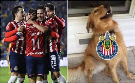 Chivas volvió a ganar y los memes confirman la ilusión de su afición