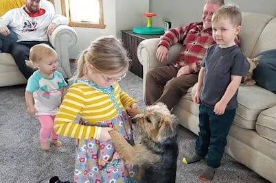 Abuelo conduce 2 mil kilómetros para sorprender a sus nietos; llevaba perrito callejero para regalarles