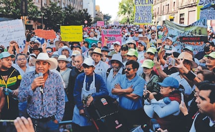 Cada tercer día hay una marcha en el Centro Histórico