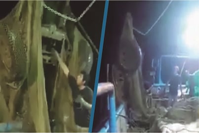 Video: Barco pesca automóvil en Mazatlán 