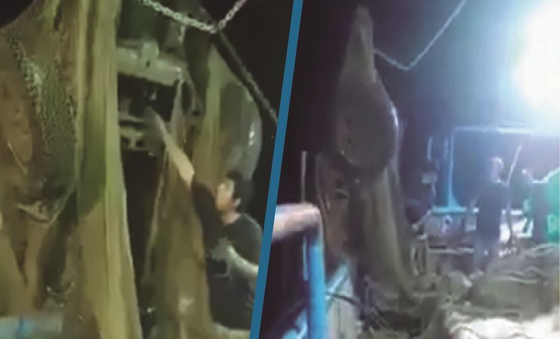 Foto: TikTok @toniomontoya2013