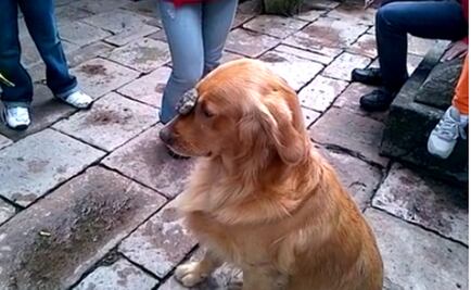 Presume FCH “truco” de su perro “Rocky”