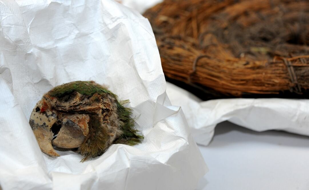 Es la colección más antigua que ha llegado en los últimos años al Taller de Conservación de Materiales Arqueológicos de la ENCRyM. Foto: Cortesía INAH