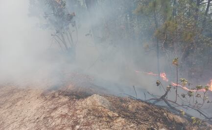 Declaran contingencia ambiental por incendio forestal en Oaxaca; más de 30 viviendas, en riesgo