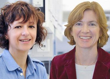 Edición del genoma gana Premio Princesa de Asturias