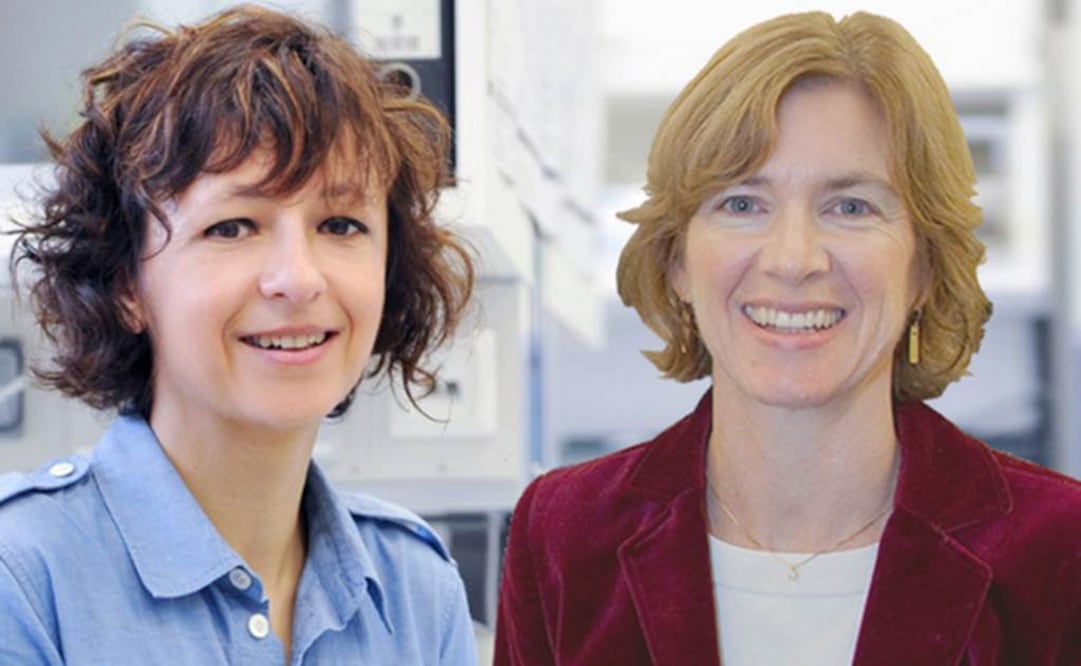 El premio a Charpentier y a Doudna fue concedido por unanimidad de los 19 miembros del jurado. Foto: Fundación Princesa de Asturias