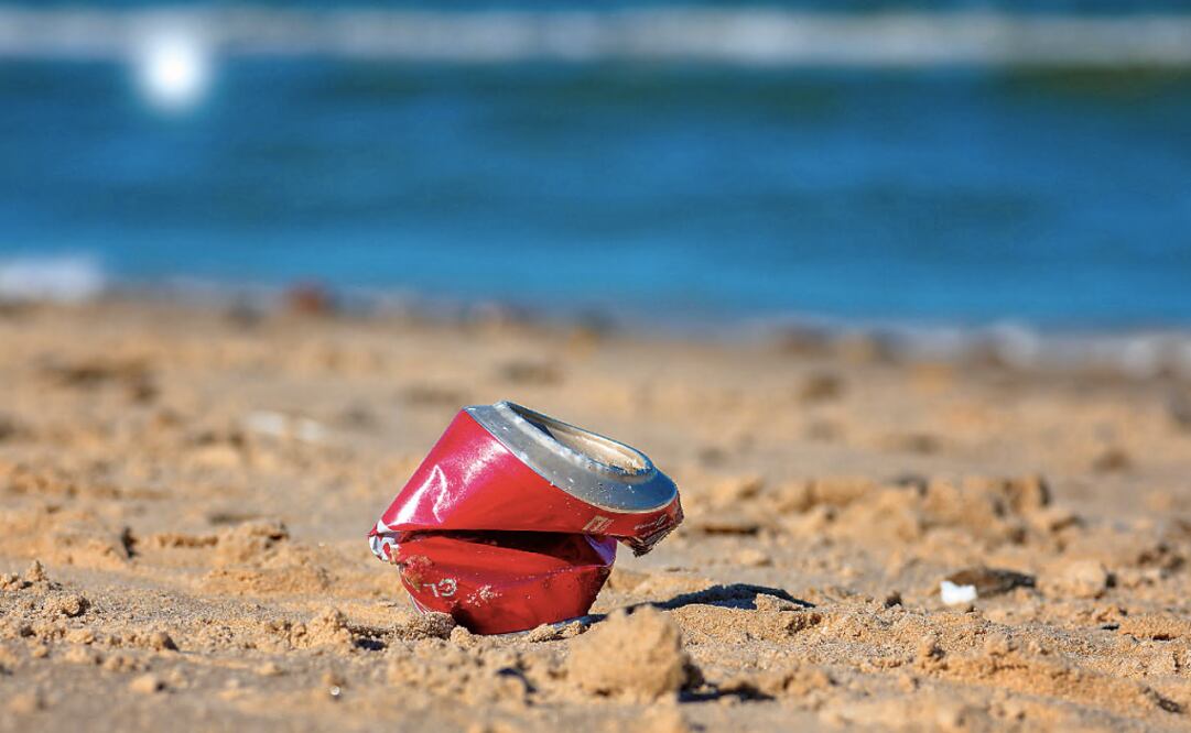 Now the question is how to maintain the benefits of temporarily halting human activities - Photo: File Photo/EL UNIVERSAL