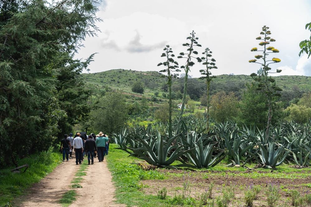Foto: Rancho La Gaspareña