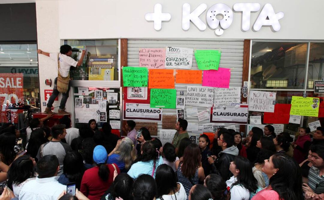 Los inconformes buscan que estas acciones sean sancionadas hasta con seis años de prisión, luego del caso de maltrato de dos empleados de la tienda Maskota (Foto: Cuartoscuro)