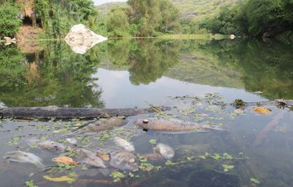 CNDH emite recomendación por contaminación de Río Suchiapa