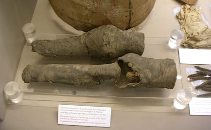 Arqueólogos atribuyen unas piernas momificadas a Nefertari