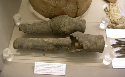 Arqueólogos atribuyen unas piernas momificadas a Nefertari