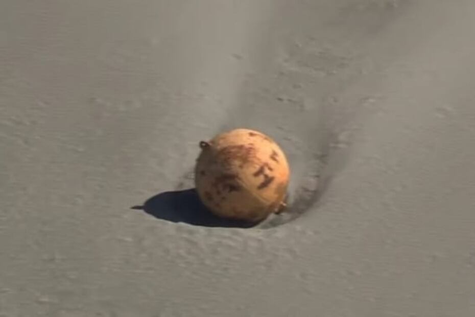 "¿Llegó Gokú?"; bola gigante aparece en playa de Japón y desconcierta a las autoridades