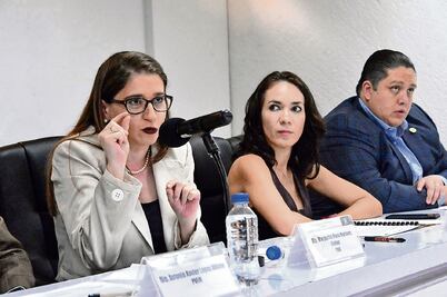 A consulta, de nuevo, Plan de Desarrollo Urbano