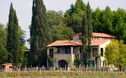 Hotel con aroma a lavanda