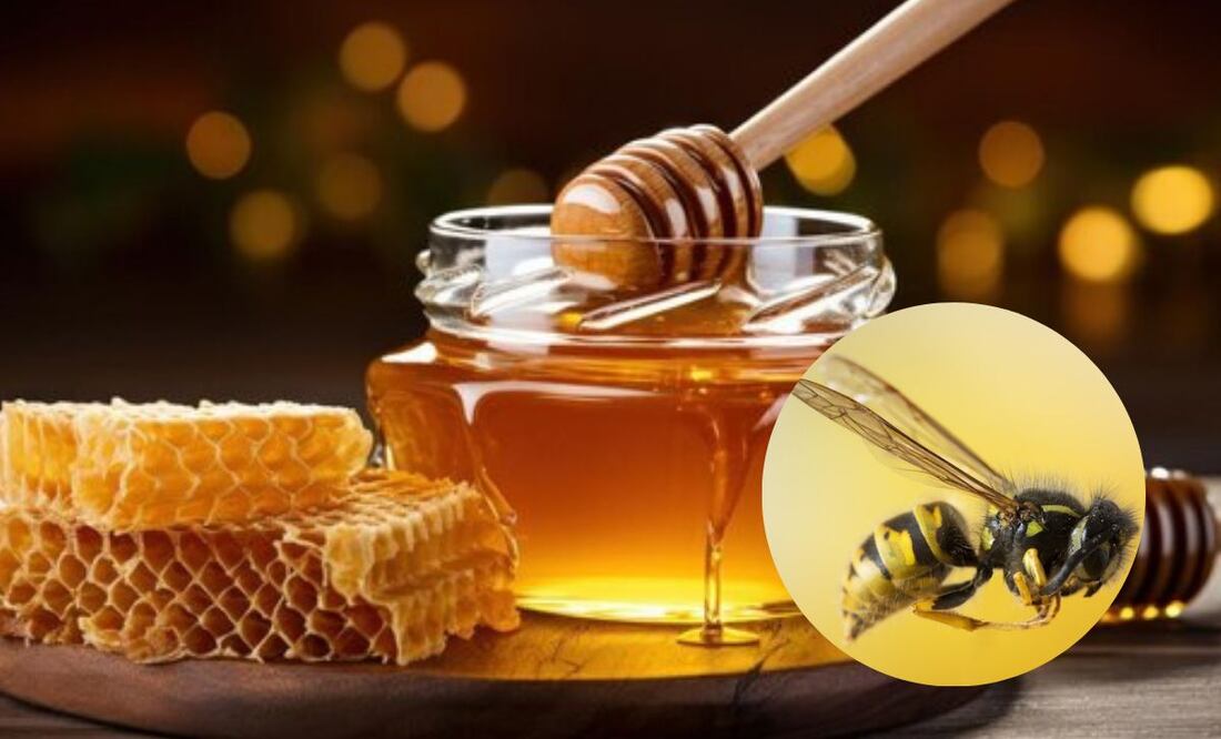 Su rol en los ecosistemas es crucial. Fuente: Freepik.