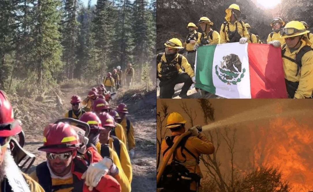 La ayuda humanitaria que ha brindado México es algo muy simbólico. (...) Venir a apoyar al pueblo estadounidense es muy importante, aseguraron algunos bomberos. Foto: X @RangoPolitico