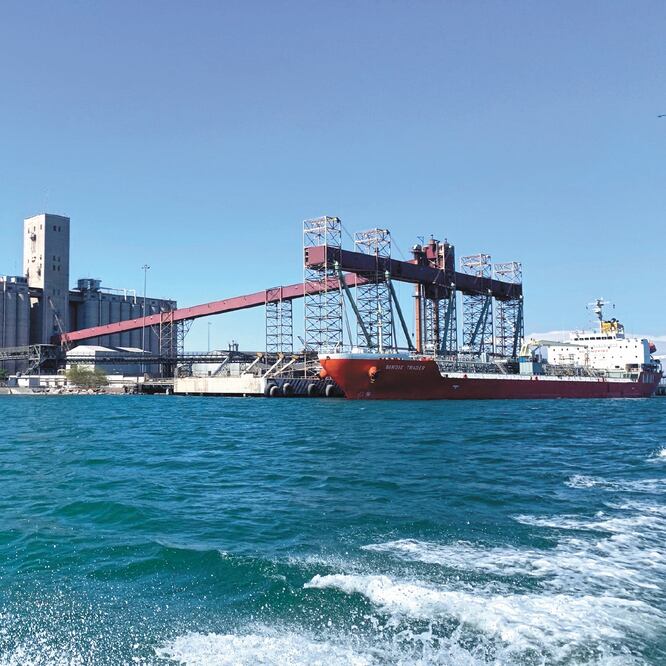 Incumplimiento. Las instalaciones de Apiguay no cuentan con autorización de impacto ambiental, indica Profepa. ARCHIVO EL UNIVERSAL