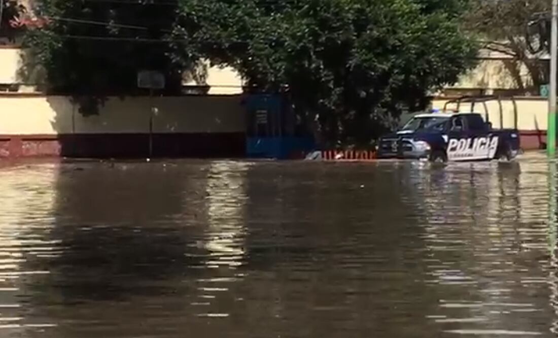 Foto: Captura de pantalla