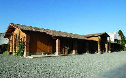 Vinos orgánicos y muy emotivos