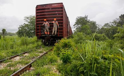 Bolsa de trabajo para obras de Tren Maya contará con 800 vacantes
